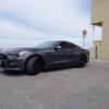 FORD Mustang (6ème Génération) 2016 à Saint-Omer (974) FORD Mustang (6ème Génération) 2016 à Saint-Omer (974)